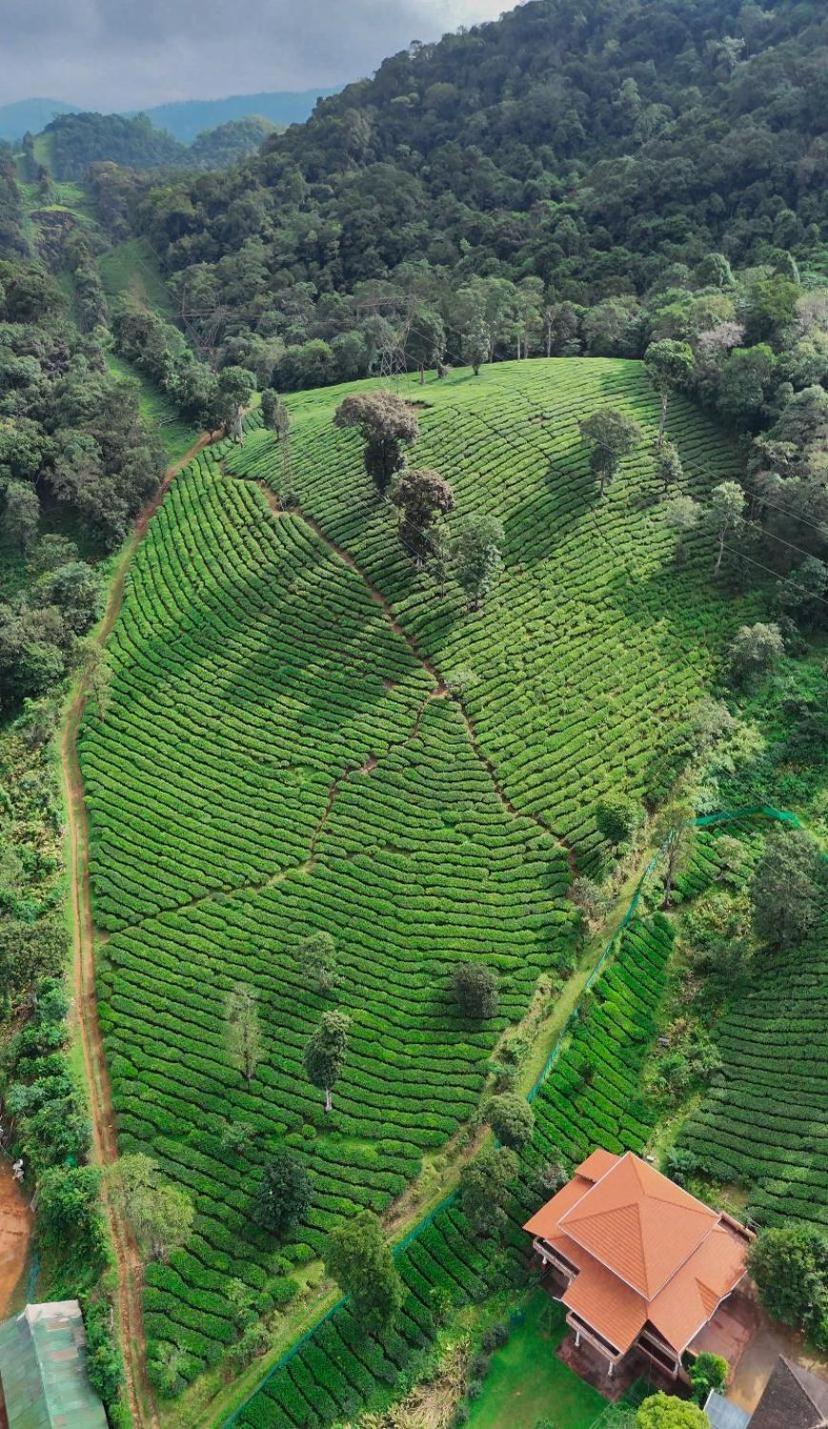Janiro Tea Trees Villas Vythiri Exterior foto