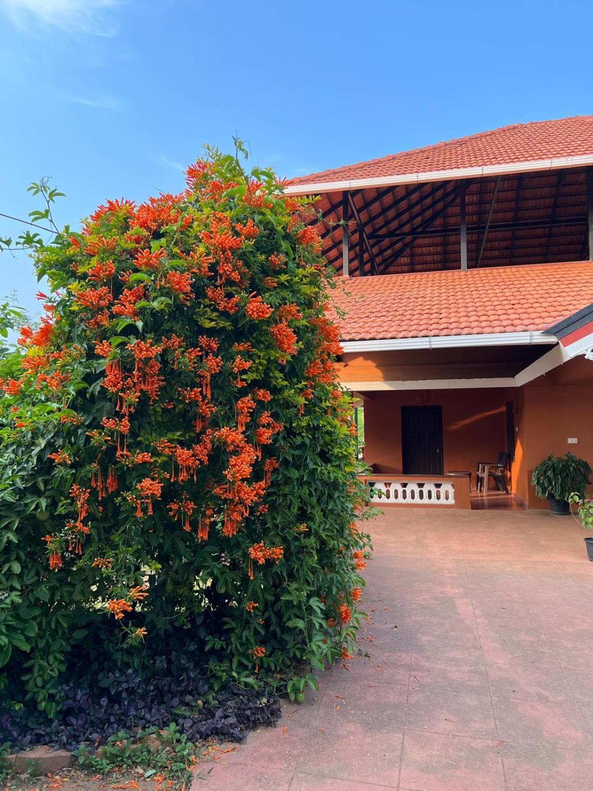 Janiro Tea Trees Villas Vythiri Exterior foto